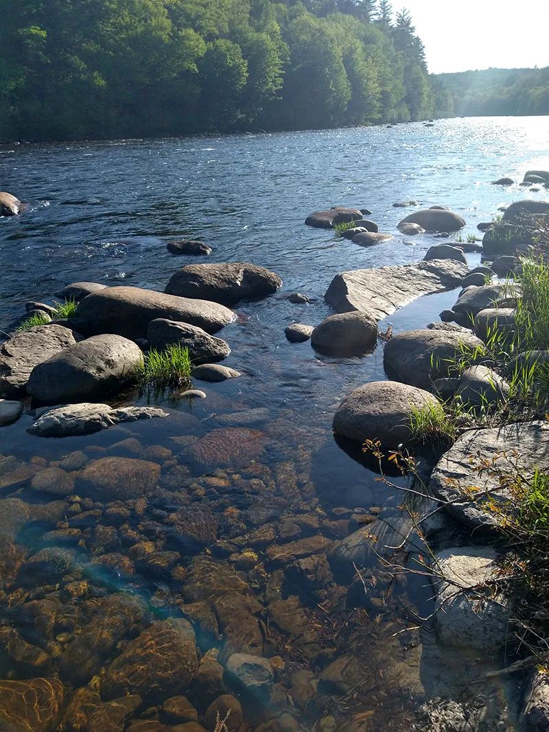 Dead river, West Forks, Maine